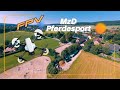 FPV Rundflug beim Reiterhof "MzD Pferdesport" im Osnabrücker Land [4K] 60ᶠᵖˢ ✔ FPV