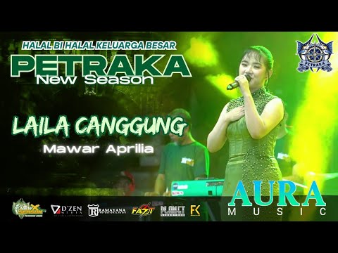 Laila Canggung - Mawar Aprilia - Aura Music live Petraka New Season 2025