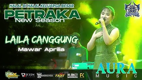 Laila Canggung - Mawar Aprilia - Aura Music live Petraka New Season 2025
