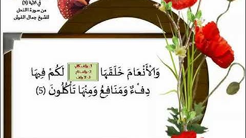الوقف على والأنعام خلقها سورة النحل  د جمال القرش