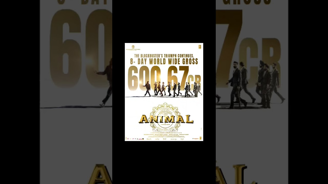 Animal Movie Box office collections no 8 Day box office collections world wide collections