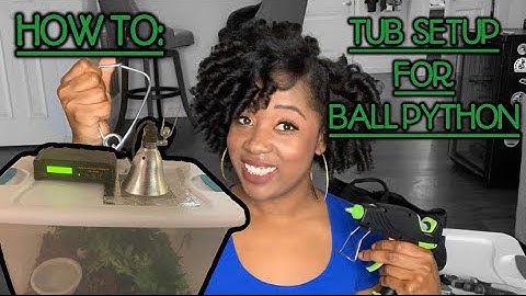 How To Setup a Plastic Tub Enclosure for a Ball Python