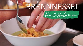 Zwei leckere BrennnesselRezepte  BrennnesselCremeSuppe  Brennnessel Kartoffelpüree