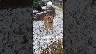 Snow Or Shine Cody Is Putting The Work In For Season 2