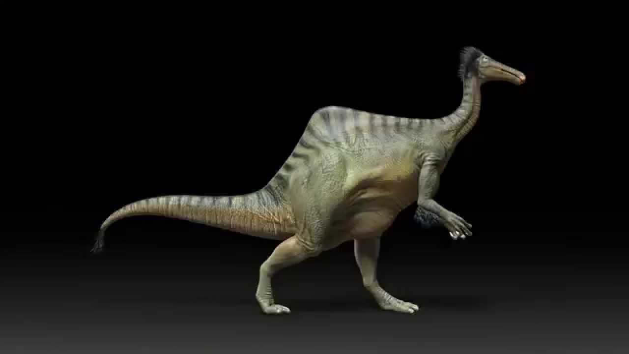 Tiranossauro Rex caminhava surpreendentemente devagar, descobre estudo