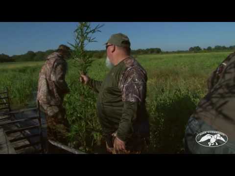 Duck Commander - YouTube