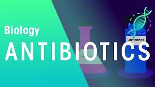 Antibiotics | Health | Biology | FuseSchool