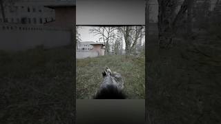 PRZ MOD | Stalker 2 Photorealistic Mod | Immersive Gameplay Showcase #gaming #stalker2
