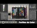 Calibración y Perfiles de Color para Fotografía