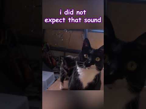 i did not