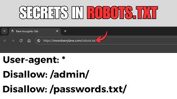 Find Hidden Secrets of Any Website (robots.txt) | picoCTF - Roboto Sans