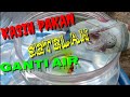 PEMBERIAN PAKAN CUPANG SETELAH PERGANTIAN AIR