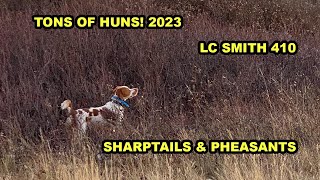 Tons of Huns 2023 by Upland Wild 2,146 views 5 months ago 14 minutes, 51 seconds