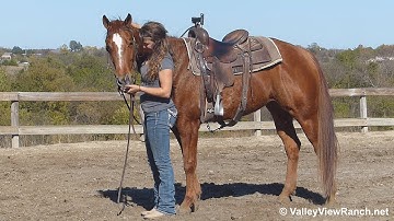 Miss Sippi Cat***For info, price, etc., go to our website*** Valley View Ranch