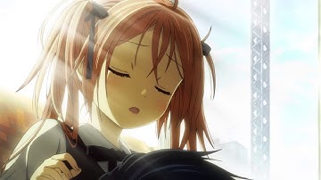 Black Bullet Ep 13 Ending