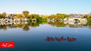 محميه سالوجا وغزال والنيل فى الجنوب