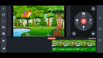 How to use Chroma key In kineMaster Flying Bird Animation