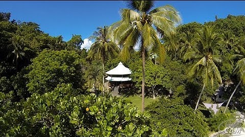 32 Bit AlexMos - QAV400 - Paraiso