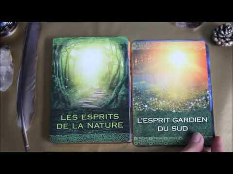 L'oracle de l'esprit originel de Denise Linn