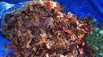 Thermophilic Composting Part 1: Gathering Materials and Building The Compost Heap