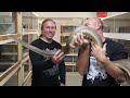 Python Attacks Me Again! SnakeBytesTV -  Ep. 397: AnimalBytesTV
