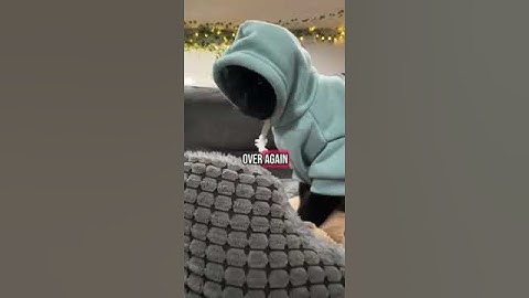 Banshee- Its just a phase dad