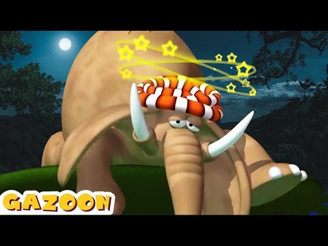 Gazoon Cartoons | Bird Can't Sleep | Funny Cartoon Animals | HooplaKidz Tv