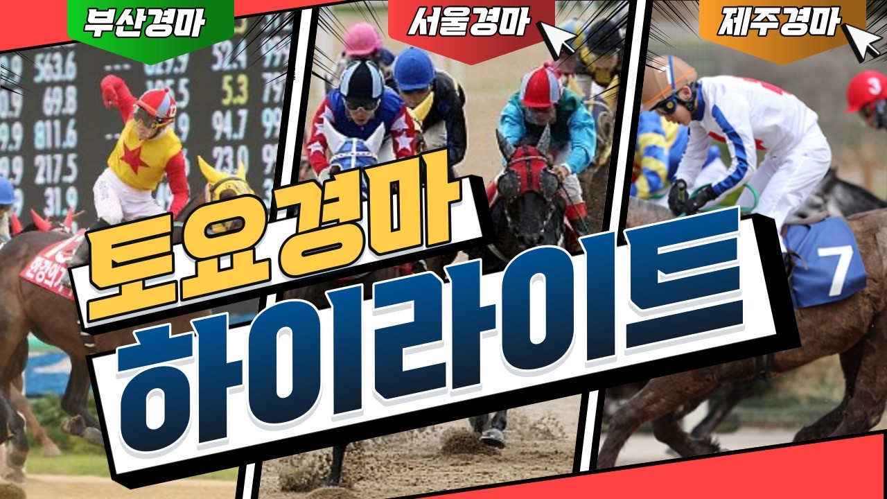 [경마]  2026년4월18일 토요경마(부산/제주) 결과 하이라이트