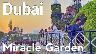 Dubai [4K] Miracle Garden Walking Tour | United Arab Emirates 🇦🇪