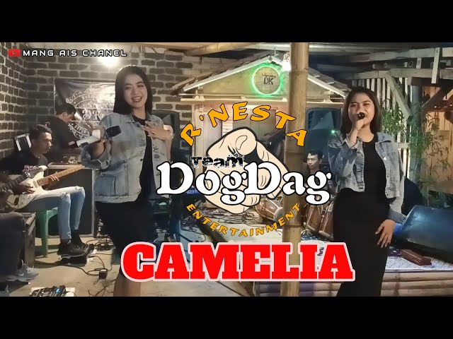 CAMELIA // Mpit v3 feat Erssa // RNESTA - Team DogDag // Live - WAROENG DK class=