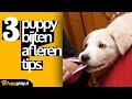 3 Puppy Bijten Afleren Tips voor de Snelste Resultaten (De Nieuwe Methode)