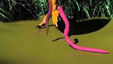 The Early Worms - 3D Animation