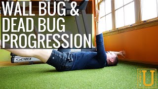 Wall Bug & Dead Bug Progression - Kinetic U Exercise Series