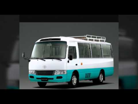 باصات العيد الوطني