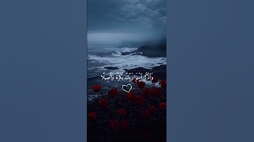 أرح سمعك 🤍🌿 ستوريات انستا قران كريم ايات قرانية قصيرة || حالات واتس قران صوت #القارئ_إسلام_صبحي 🤍🌿