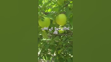 اعظم سورة في كتاب الله