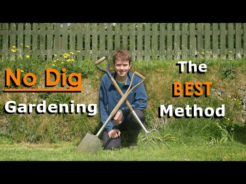 Why No Dig is My FAVOURITE Gardening Method | Grow More Food thumbnail