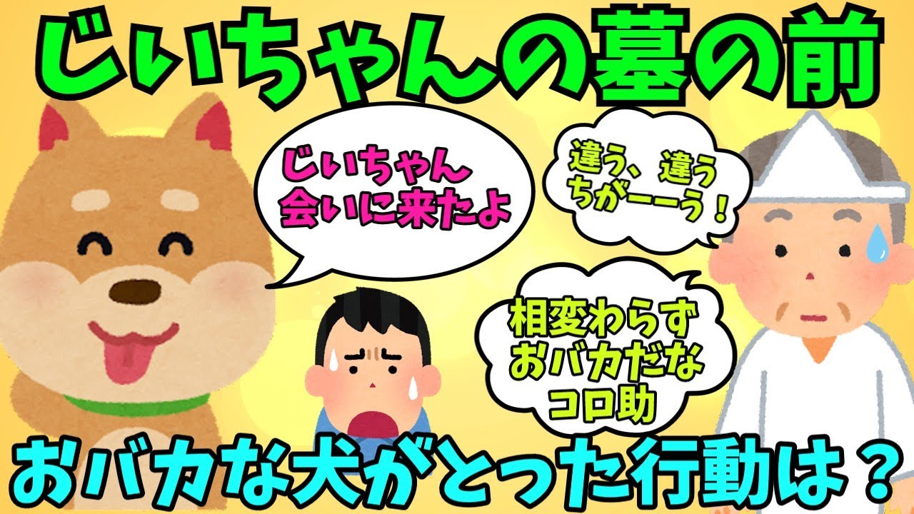 犬はすごい？亡き祖父に会いに行ったら‥【ほっこり 泣ける話  涙活 感動する話 猫 犬 実話】 #2ちゃんねる  #2ch面白いスレ #2ch
