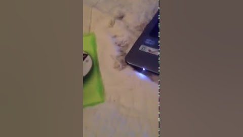 How To: Put Modern Warfare 3 on Computer for free