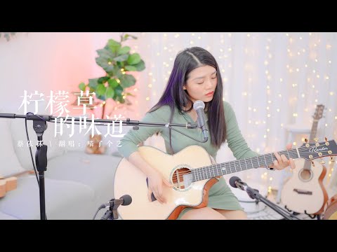 【喵了個藝】蔡依林《檸檬草的味道》吉他彈唱翻唱 Guitar cover