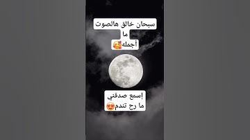 تلاوة عطرة من سورة النحل 🐝🐝🐝