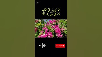 تلاوة خاشعة تريح القلب