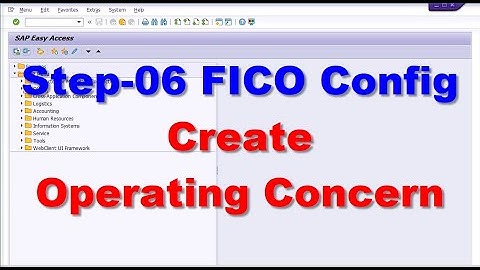 06 FICO Config Create Operating Concern