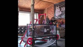 Bull Terrier Training With Firepaw Dog Treadmill - Slatmill