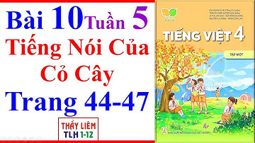 Tiếng Việt Lớp 4 Bài 10 Tuần 5 | Tiếng Nói Của Cỏ Cây | Trang 44 - 47 | Kết Nối Tri Thức