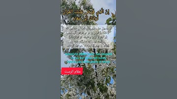 مقامات القرآن القرآنیه [مقام الرست ] سوره القصص / Milody Rast