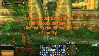 Soloing Zul gurub Tiger boss 3.3.5 (Any Class)