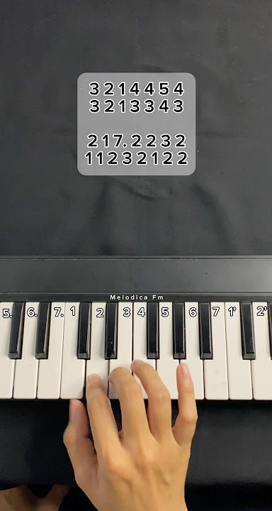 TERNYATA ABU ABU #pianika