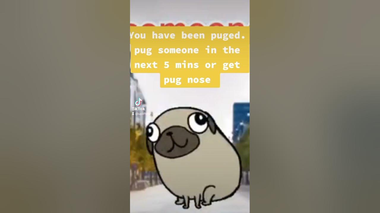 You ve been pugged youtube