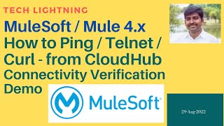 How to ping / telnet / curl from MuleSoft CloudHub | Connectivity verification  using Network tool screenshot 4